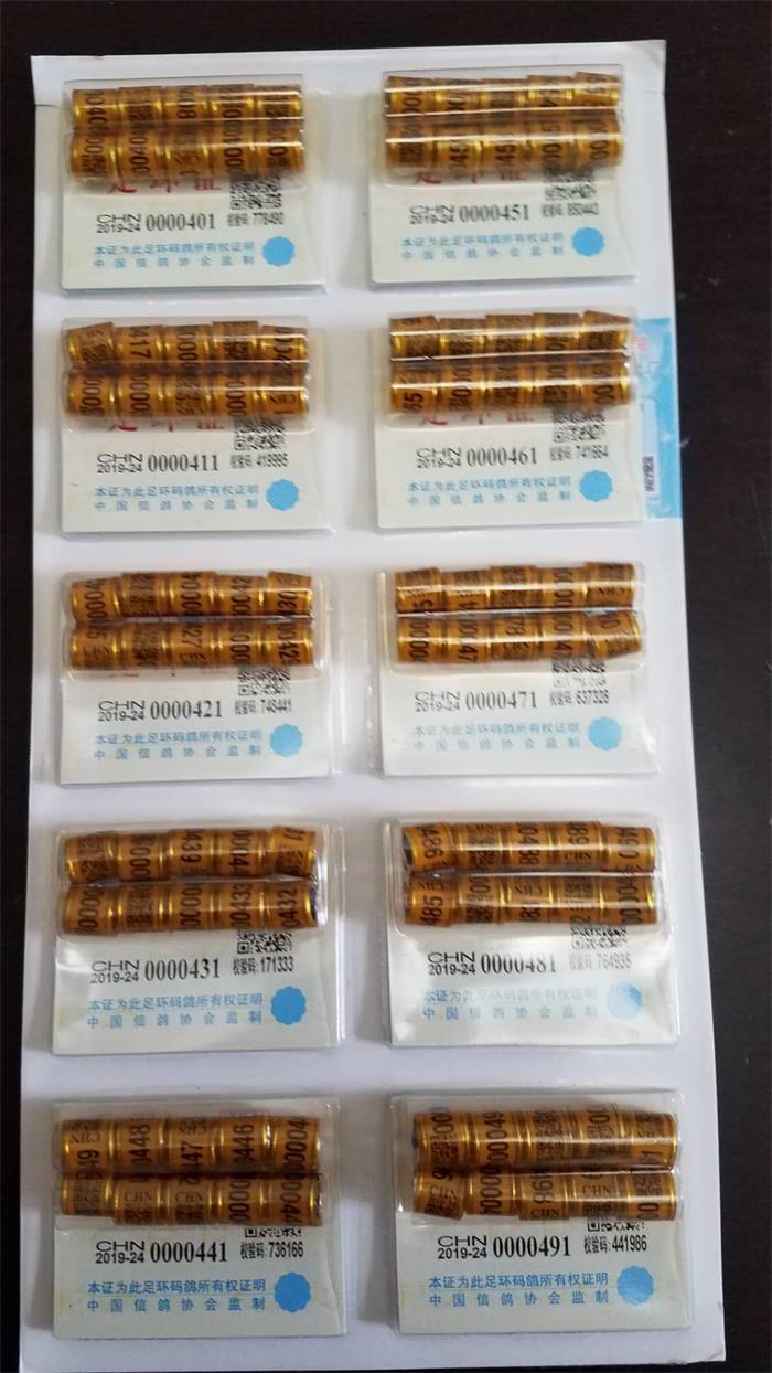 1546010305218472.jpg 足环401-500.jpg