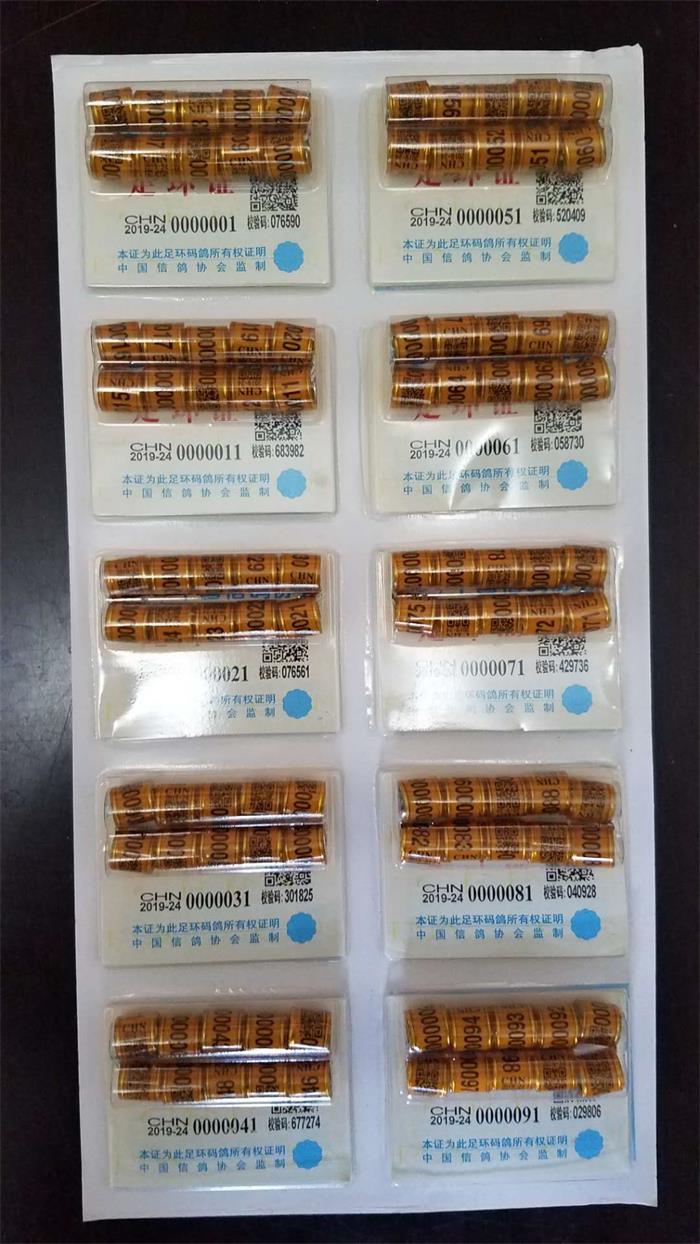 1546011164627446.jpg 足环001-100.jpg